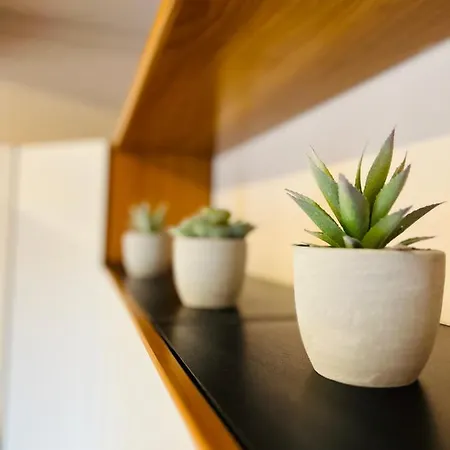 Appartement V Biella