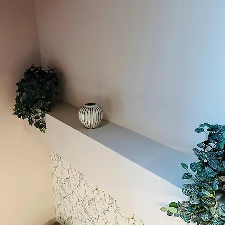 V Apartamento