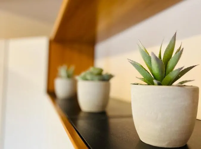 아파트 V 비엘라