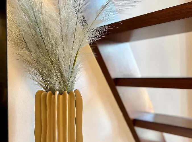 아파트 V 비엘라